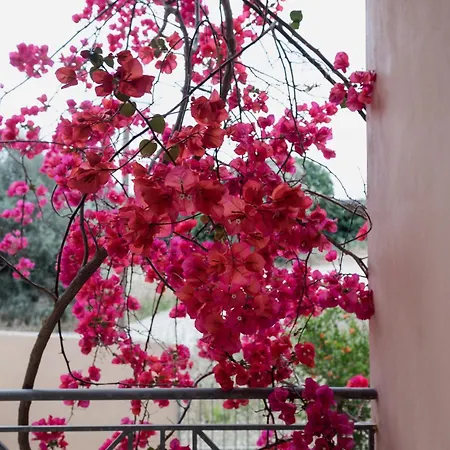 Willa Discover Evia - With Private Jacuzzi